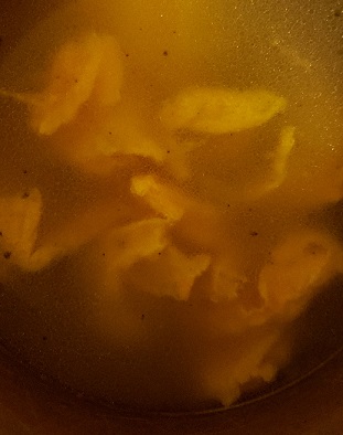 soup begin